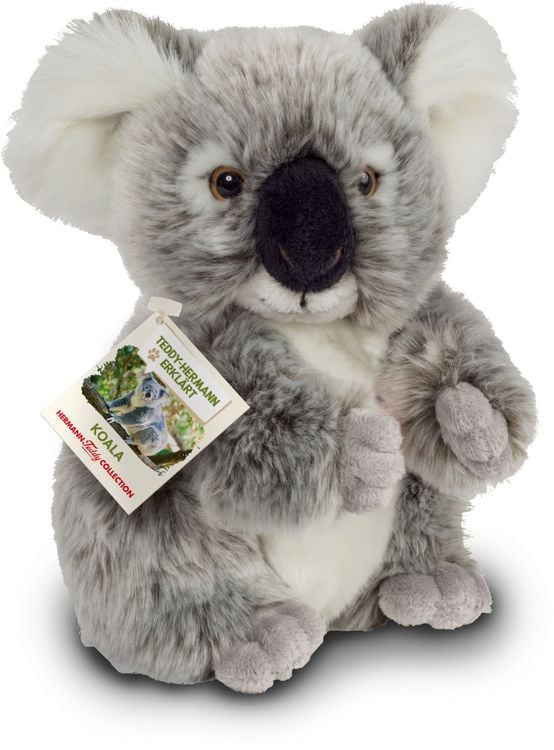 Bild vom Artikel Teddy-Hermann - Koala 21 cm vom Autor 