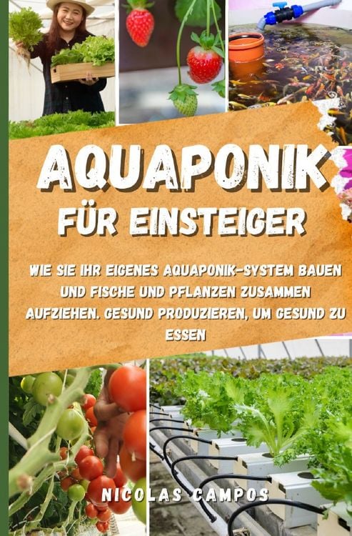 Produktbild: G&auml;rtnern / Aquaponik f&uuml;r Einsteiger