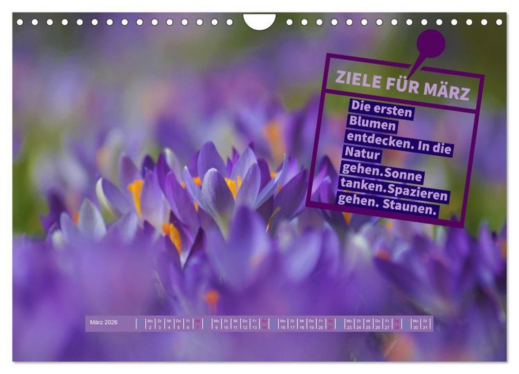 Produktbild: ZIELE Monat f&uuml;r Monat (Wandkalender 2026 DIN A4 quer), CALVENDO Monatskalender