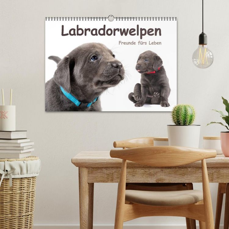 Produktbild: Labradorwelpen - Freunde f&uuml;rs Leben (Wandkalender 2026 DIN A3 quer), CALVENDO Monatskalender