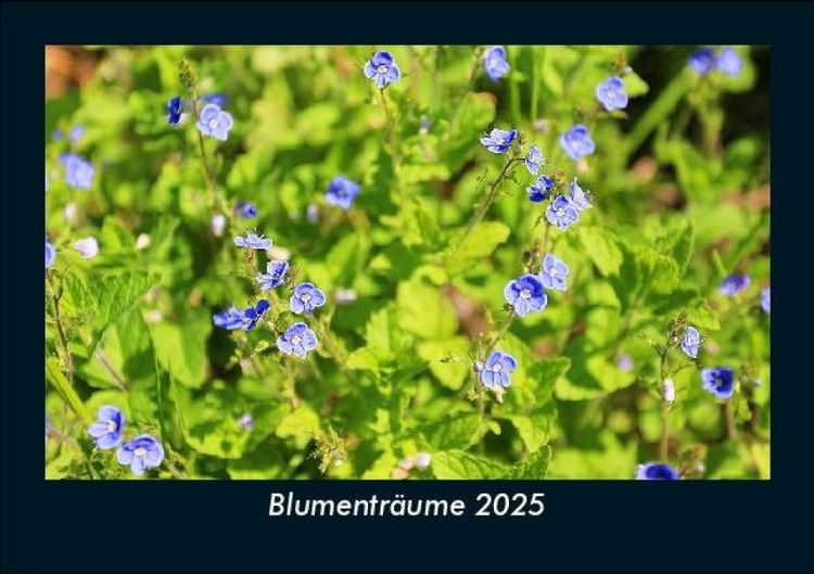 Produktbild: Blumentr&auml;ume 2025 Fotokalender DIN A5