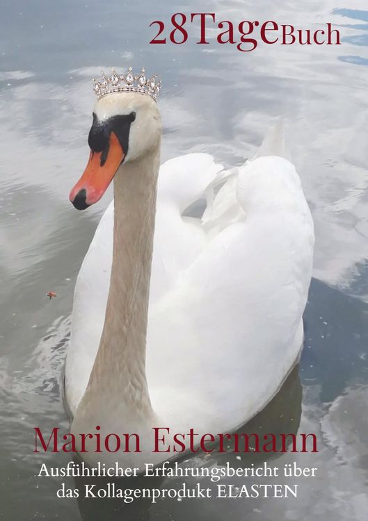 Produktbild: 28 Tage Buch