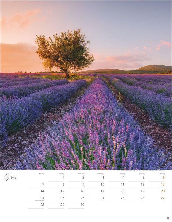 Produktbild: Jenseits der Hast Posterkalender 2027