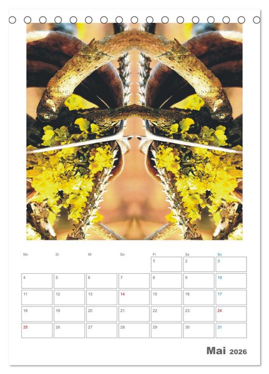 Produktbild: Axis Mater Naturae (Tischkalender 2026 DIN A5 hoch), CALVENDO Monatskalender