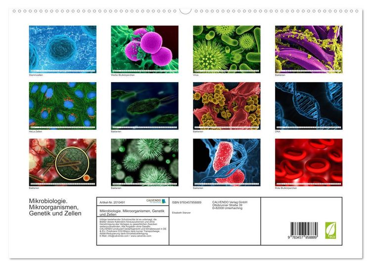 Produktbild: Mikrobiologie. Mikroorganismen, Genetik und Zellen (hochwertiger Premium Wandkalender 2026 DIN A2 quer), Kunstdruck in Hochglanz