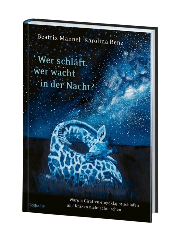 Produktbild: Wer schl&auml;ft, wer wacht in der Nacht?