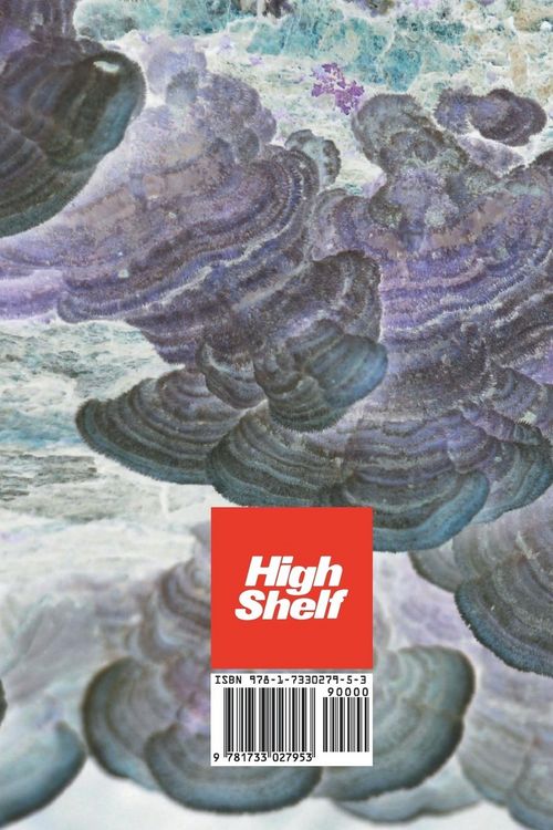 Produktbild: High Shelf VIII