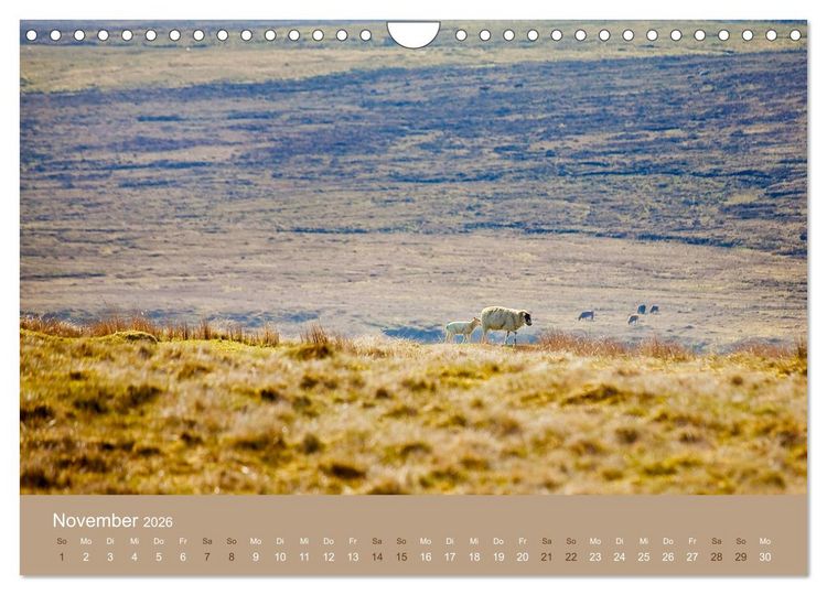 Produktbild: Unter Schafen - Wegbegleiter auf Reisen (Wandkalender 2026 DIN A4 quer), CALVENDO Monatskalender
