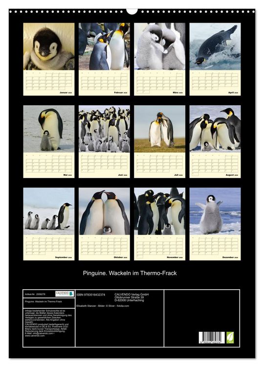 Produktbild: Pinguine. Wackeln im Thermo-Frack (Wandkalender 2026 DIN A2 hoch), CALVENDO Monatskalender