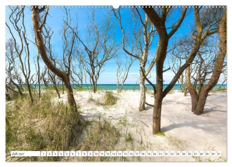 Produktbild: Fischland Dar&szlig;, Land zwischen Ostsee und Bodden (hochwertiger Premium Wandkalender 2027 DIN A2 quer), Kunstdruck in Hochglanz