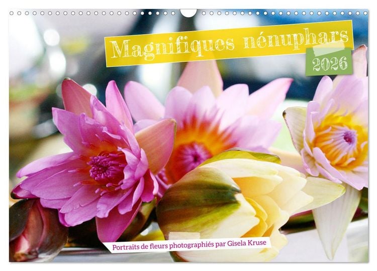 Produktbild: Magnifiques n&eacute;nuphars (Calendrier mural 2026 DIN A3 vertical), CALVENDO calendrier mensuel