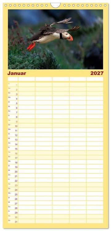 Produktbild: Familienplaner 2027 - Puffins - Papageientaucher auf Island mit 5 Spalten (Wandkalender, 21 x 45 cm) CALVENDO