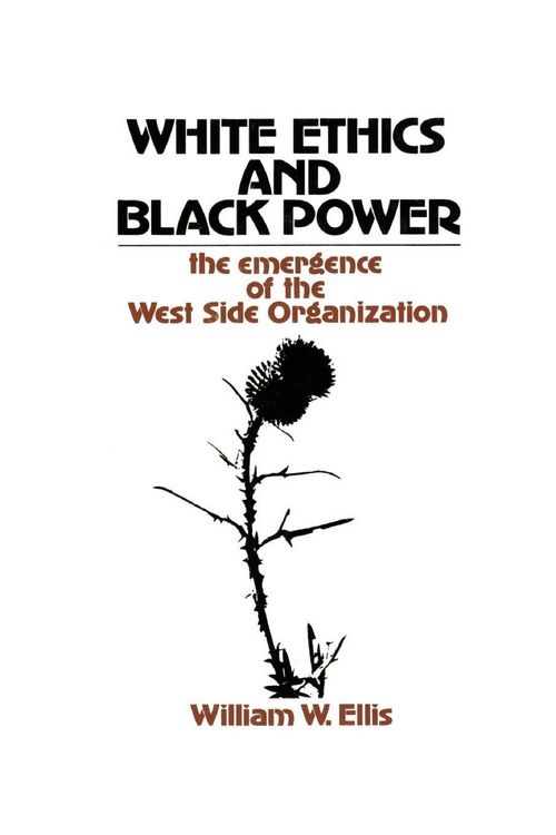 Produktbild: White Ethics and Black Power