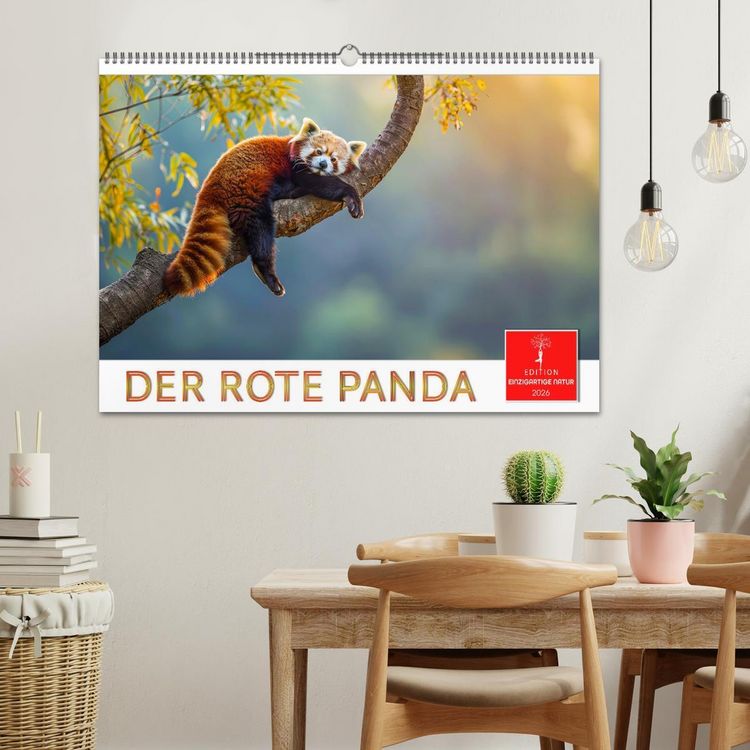 Produktbild: Der Rote Panda (Wandkalender 2026 DIN A2 quer), CALVENDO Monatskalender