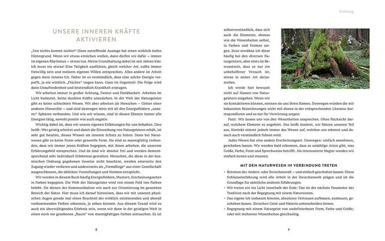 Produktbild: Die Welt der Naturgeister - Das Arbeitsbuch