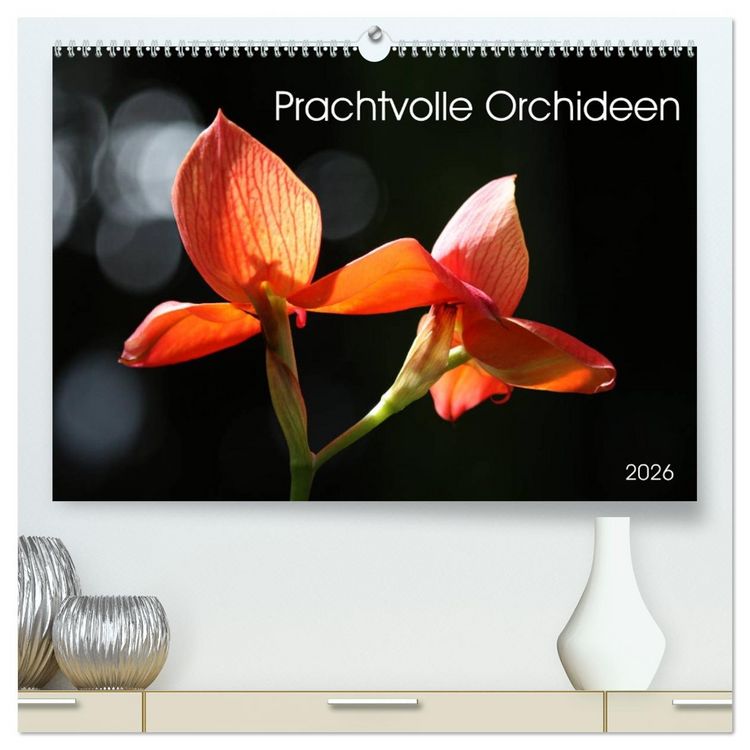 Produktbild: Prachtvolle Orchideen (hochwertiger Premium Wandkalender 2026 DIN A2 quer), Kunstdruck in Hochglanz