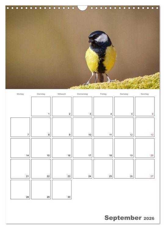 Produktbild: V&ouml;gel im heimischen Garten (Wandkalender 2026 DIN A3 hoch), CALVENDO Monatskalender