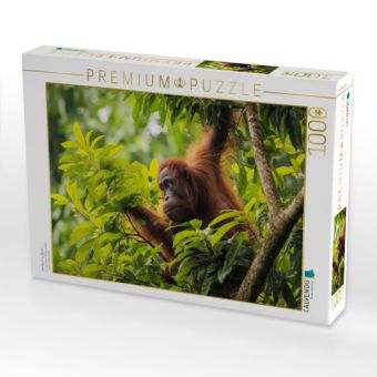 Produktbild: CALVENDO Puzzle Von Baum zu Baum | 1000 Teile Lege-Gr&ouml;&szlig;e 64x48cm Foto-Puzzle f&uuml;r gl&uuml;ckliche Stunden