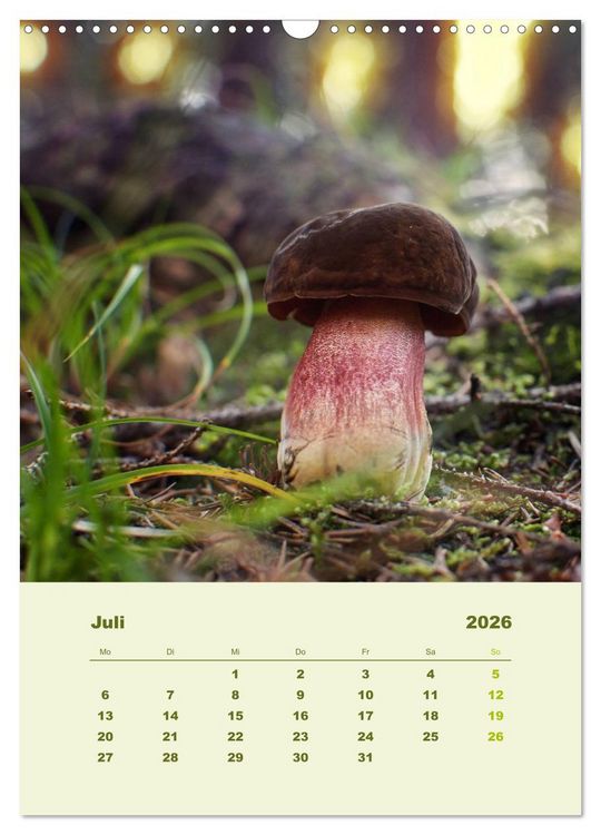 Produktbild: Wundersame Welt der Pilze (Wandkalender 2026 DIN A3 hoch), CALVENDO Monatskalender