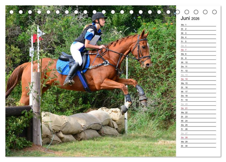 Produktbild: Mein Reitsport Kalender (Tischkalender 2026 DIN A5 quer), CALVENDO Monatskalender