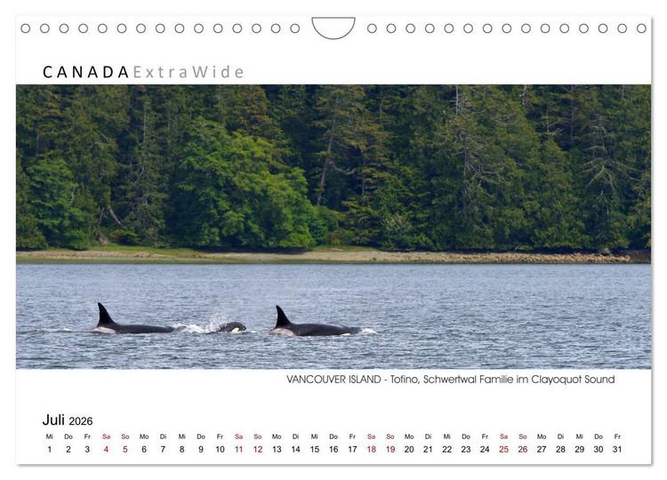 Produktbild: Vancouver Island Panoramabilder (Wandkalender 2026 DIN A4 quer), CALVENDO Monatskalender