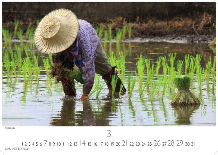 Produktbild: Thailand Kalender 2027 &ndash; Wandkalender | Fotokalender 24x35cm - Hochwertiger f&uuml;r 2027 &ndash; von der beeindruckenden Sch&ouml;nheit des Landes, Perfekt f&uuml;r Thailand-Liebhaber