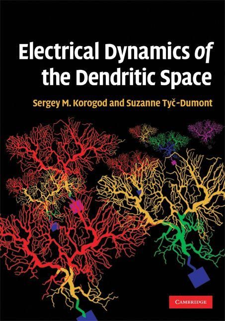 Produktbild: Electrical Dynamics of the Dendritic Space