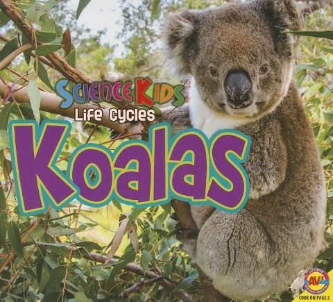 Produktbild: Koalas