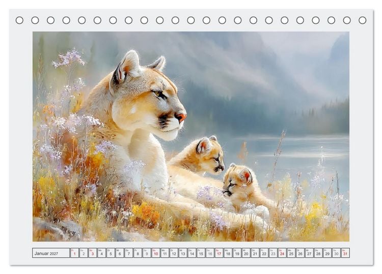 Produktbild: Pumababys. Verspielte Bergl&ouml;wenkinder in der Natur (Tischkalender 2027 DIN A5 quer), CALVENDO Monatskalender