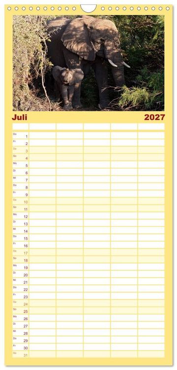 Produktbild: Familienplaner 2027 - Afrikas Tierwelt: Elefantenbabys mit 5 Spalten (Wandkalender, 21 x 45 cm) CALVENDO
