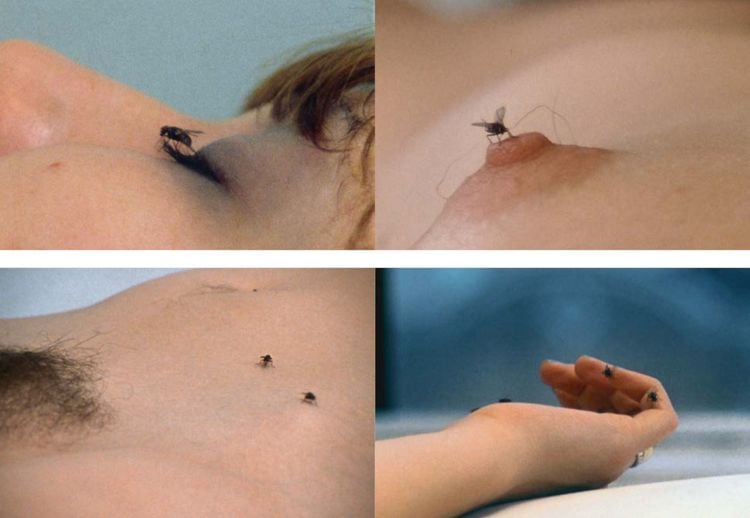 Produktbild: Yoko Ono