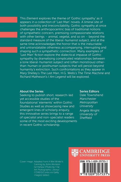 Produktbild: The Last Man and Gothic Sympathy