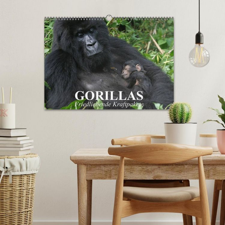 Produktbild: Gorillas. Friedliebende Kraftpakete (Wandkalender 2026 DIN A3 quer), CALVENDO Monatskalender