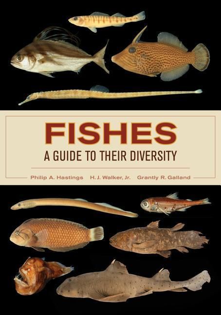 Produktbild: Hastings, P: Fishes: A Guide to Their Diversity