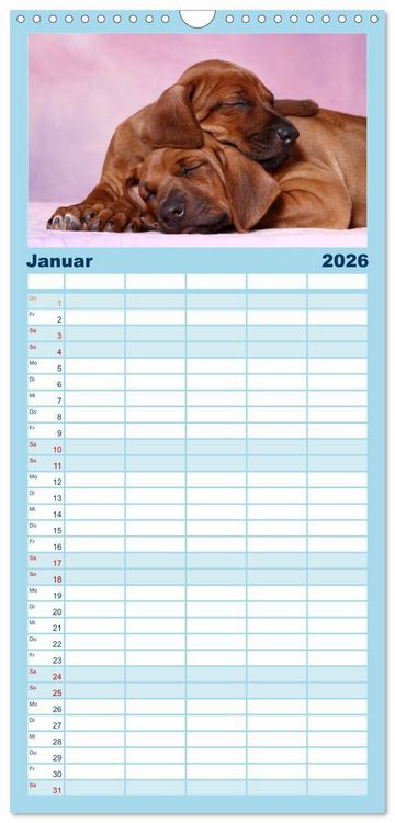 Produktbild: Familienplaner 2026 - S&uuml;&szlig;e Tr&auml;ume 2026 - schlafende Hundewelpen mit 5 Spalten (Wandkalender, 21 x 45 cm) CALVENDO