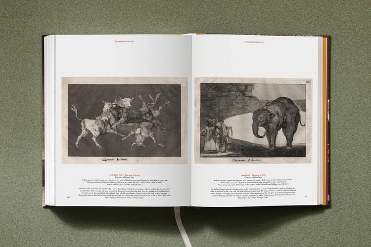 Produktbild: Goya