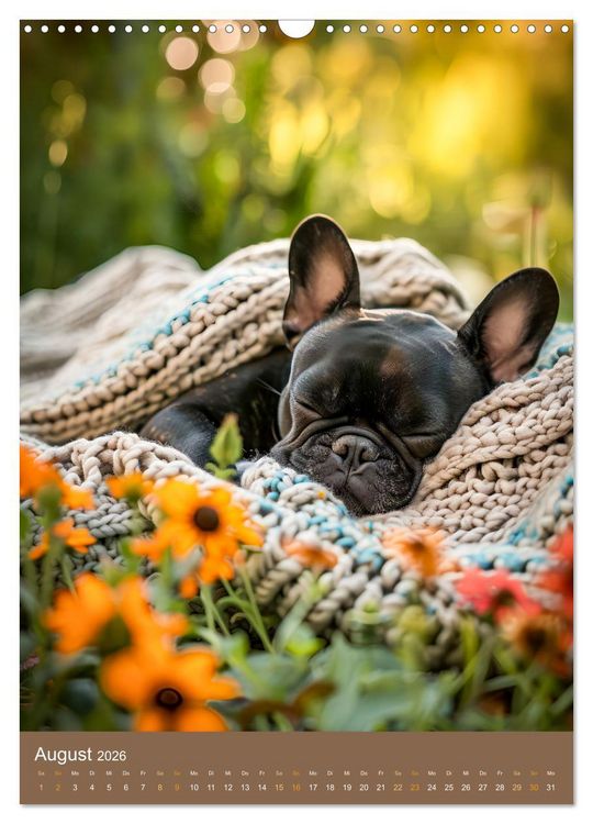 Produktbild: Frenchie Couture - Franz&ouml;sische Bulldoggen in Strick-Chic (Wandkalender 2026 DIN A3 hoch), CALVENDO Monatskalender