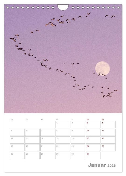 Produktbild: VOLLMOND-Planer - Im Licht der Nacht (Wandkalender 2026 DIN A4 hoch), CALVENDO Monatskalender