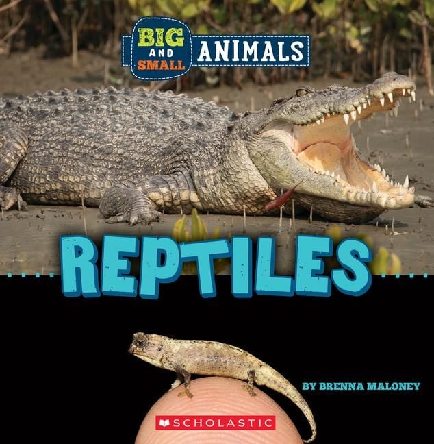Produktbild: Reptiles (Wild World: Big and Small Animals)