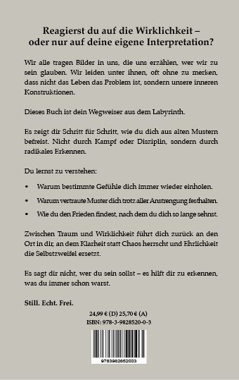 Produktbild: Zwischen Traum und Wirklichkeit - Deine gemachte Realit&auml;t