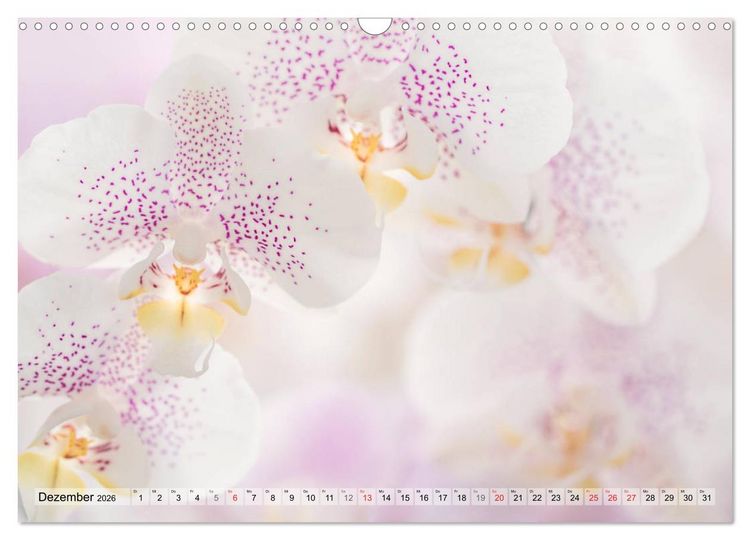 Produktbild: Farbenfroher Bl&uuml;tentraum (Wandkalender 2026 DIN A3 quer), CALVENDO Monatskalender