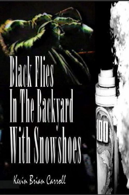 Produktbild: Black Flies In The Backyard With Snowshoes