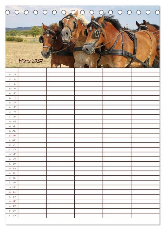 Produktbild: Der Kaltblut-Familienplaner (Tischkalender 2027 DIN A5 hoch), CALVENDO Monatskalender