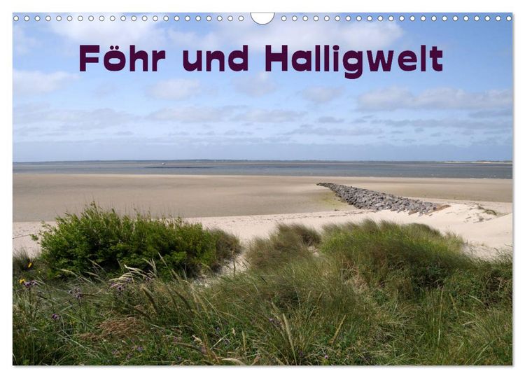 Produktbild: F&ouml;hr und Halligwelt 2026 (Wandkalender 2026 DIN A3 quer), CALVENDO Monatskalender