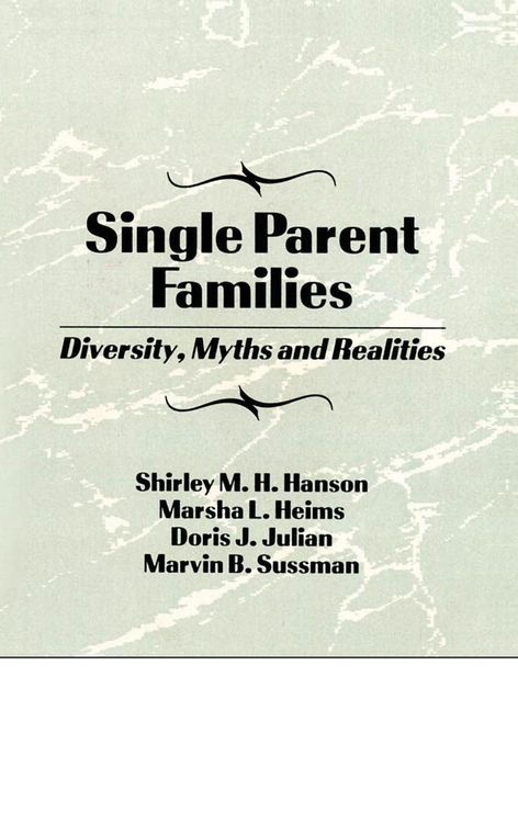 Produktbild: Single Parent Families