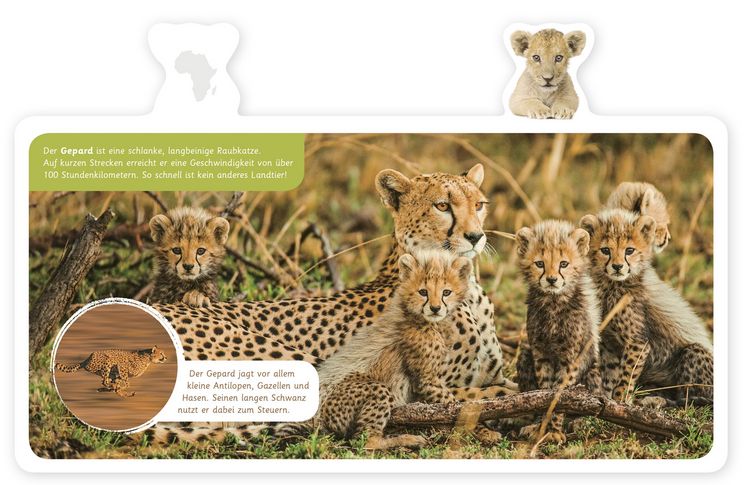 Produktbild: Tiere in Afrika