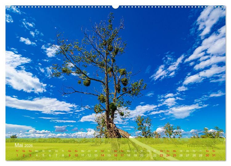 Produktbild: der elbestrom natur (hochwertiger Premium Wandkalender 2026 DIN A2 quer), Kunstdruck in Hochglanz