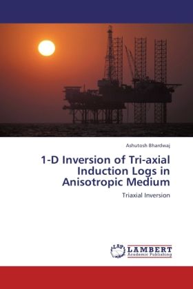 Produktbild: Bhardwaj, A: 1-D Inversion of Tri-axial Induction Logs in An