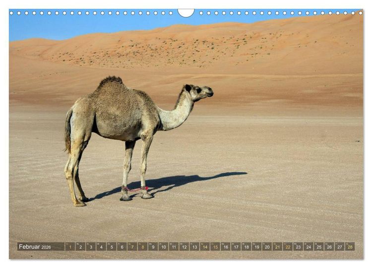 Produktbild: Sultanat Oman (Wandkalender 2026 DIN A3 quer), CALVENDO Monatskalender