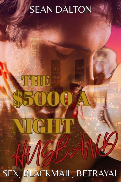 Produktbild: The $5000 A Night Husband: Sex, Blackmail, Betrayal and Love